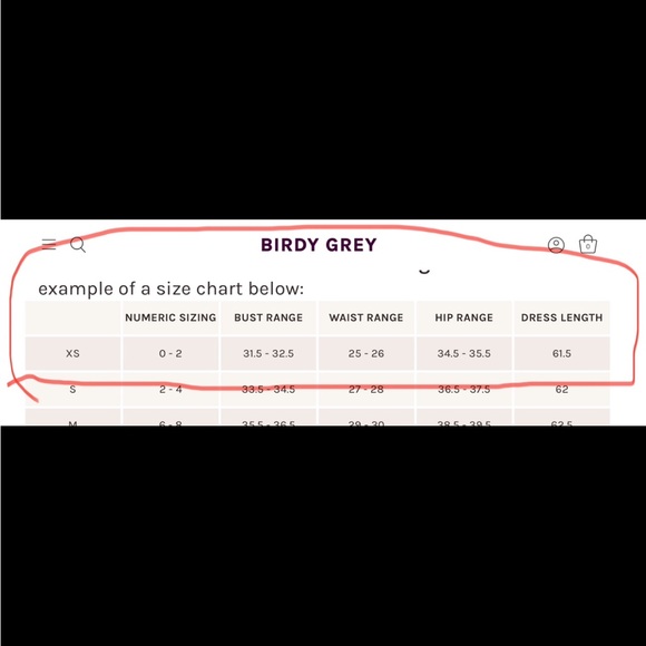 Birdy Grey - Grace Convertible Dress (Rosewood) size XS Brand New w/tags - Picture 10 of 11